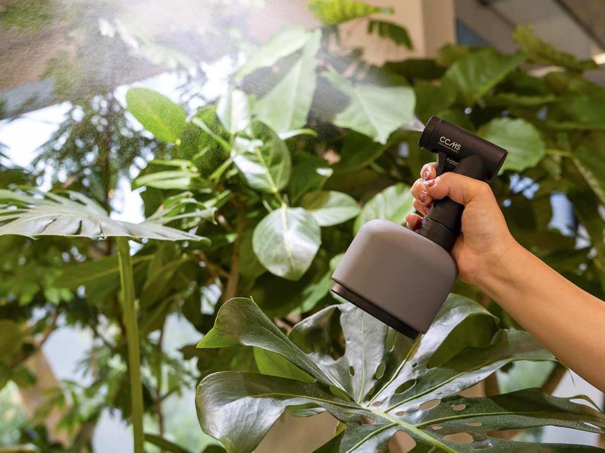 スタッフが植物に消毒スプレーをしている様子